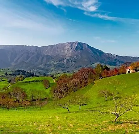 Rural El Pandal 3*